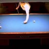 [ID: yPuG_TO49jg] Youtube Automatic